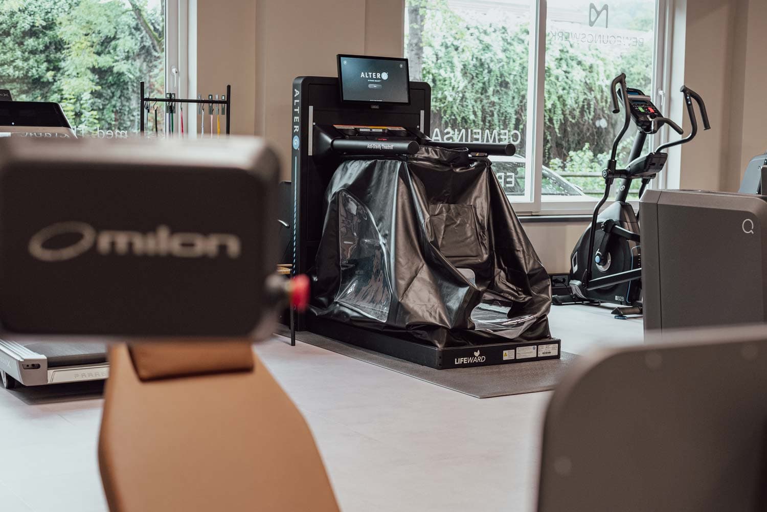 Professionelles Fitness Training